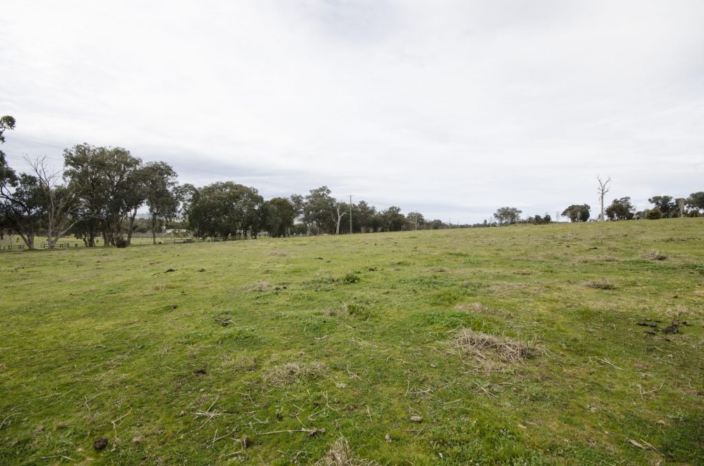 Manny Gonzalez property