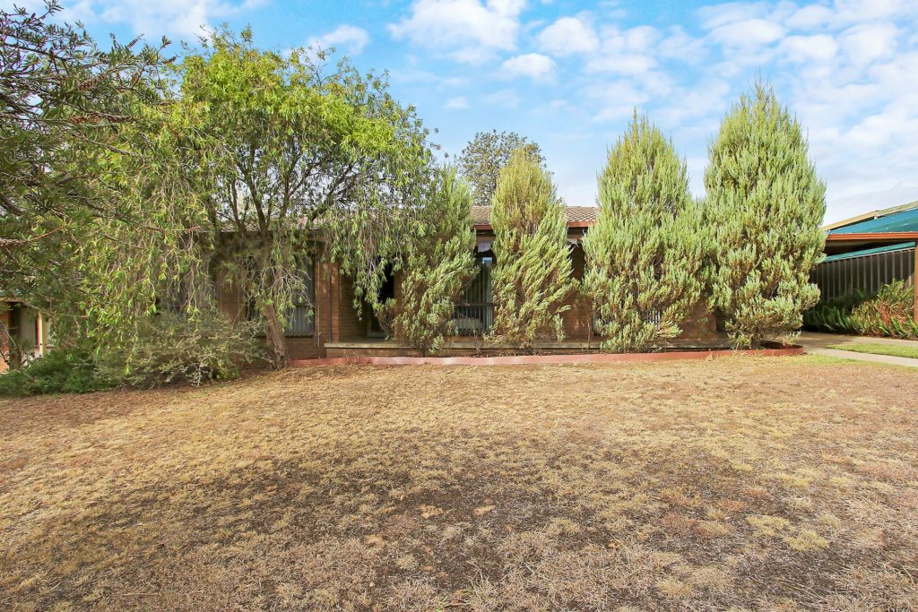 Manny Gonzalez property