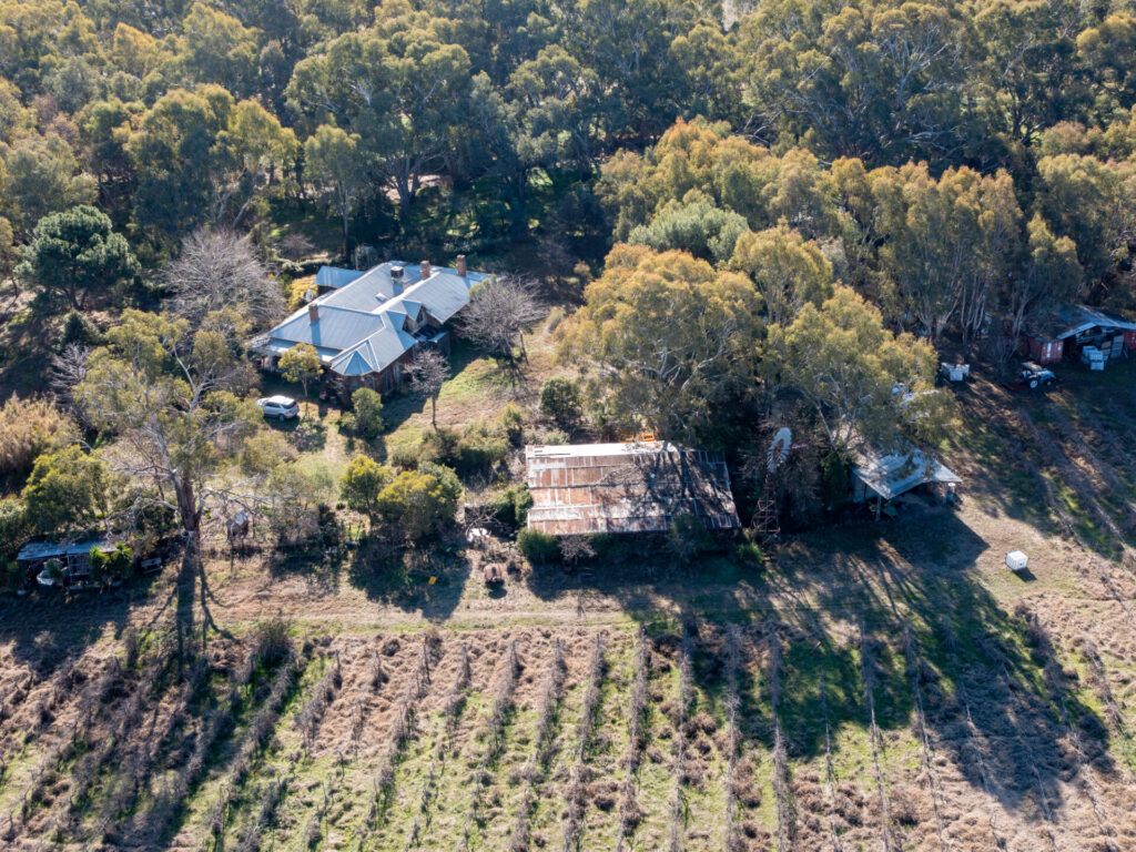 Tristan Wright property