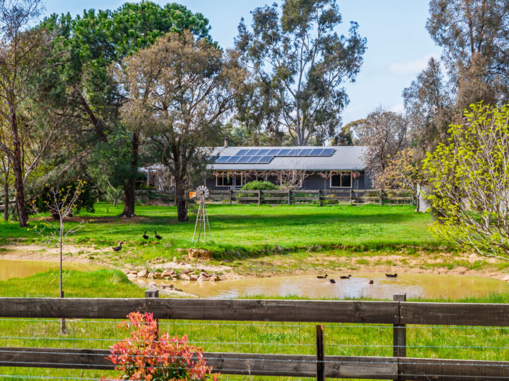 Tristan Wright property